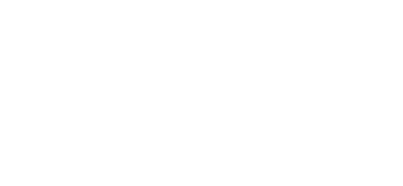 Logo Veronica Santonili